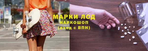 гашик Белокуриха