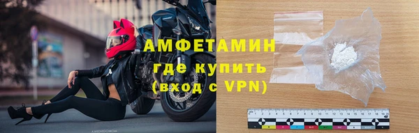 сатива Беломорск