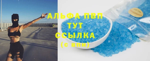 сатива Беломорск