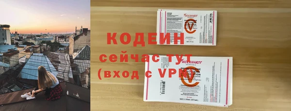 сатива Беломорск