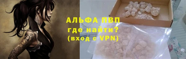сатива Беломорск