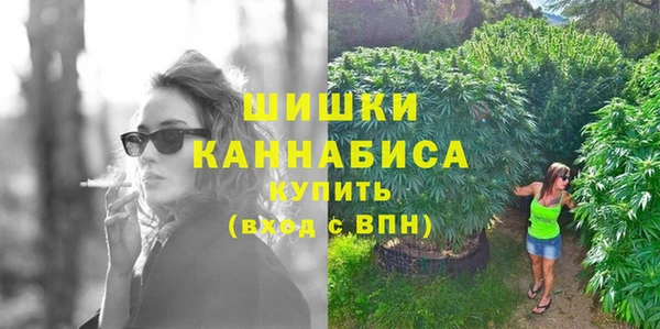 сатива Беломорск