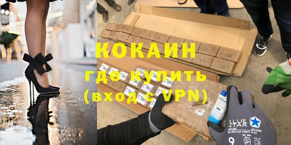 сатива Беломорск