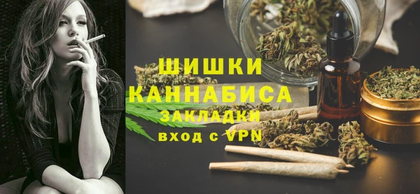 гашик Белокуриха