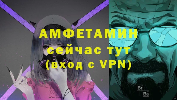 сатива Беломорск