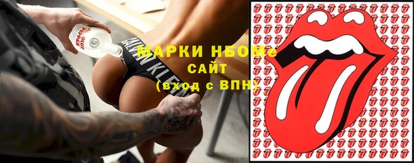 сатива Беломорск