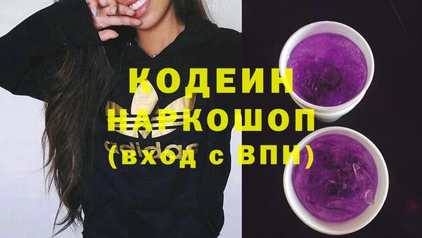 сатива Беломорск