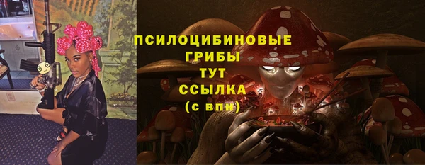 сатива Беломорск
